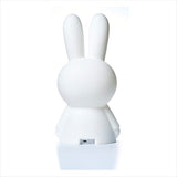Mr. Maria Miffy First Light Vit