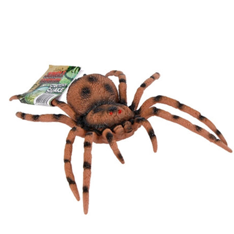 Pocket Money Spider