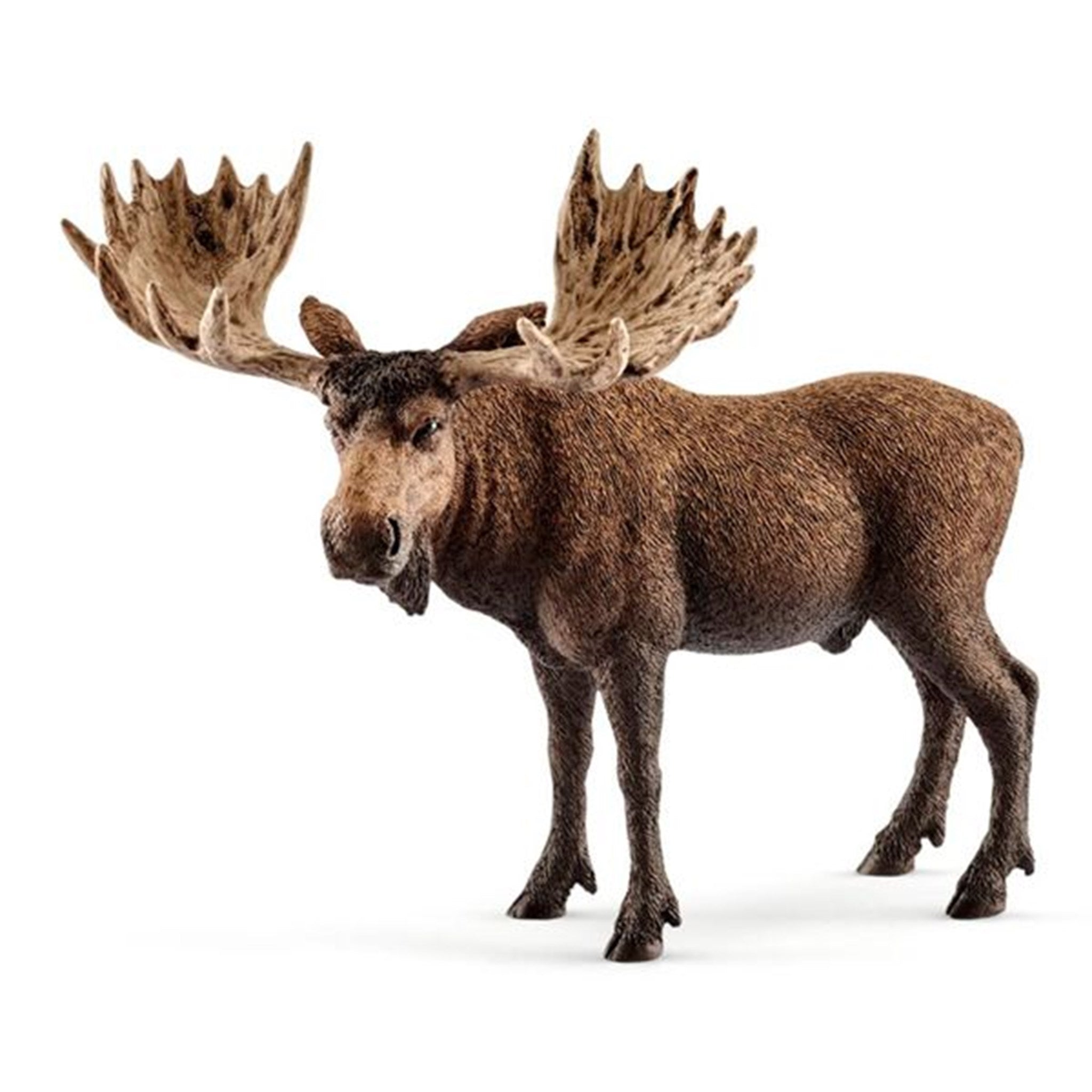 Schleich Wild Life Moose Bull