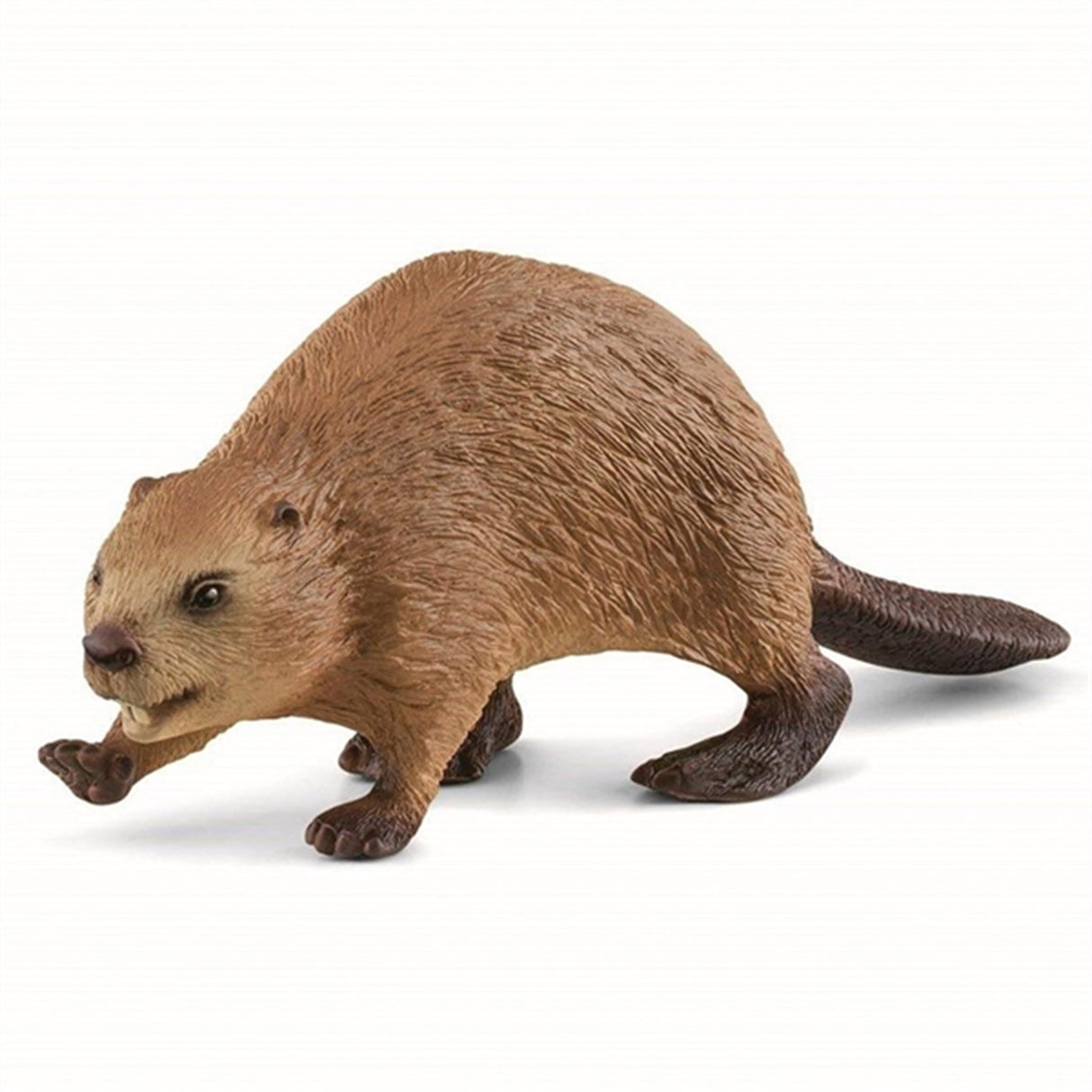 Schleich Wild Life Bæver