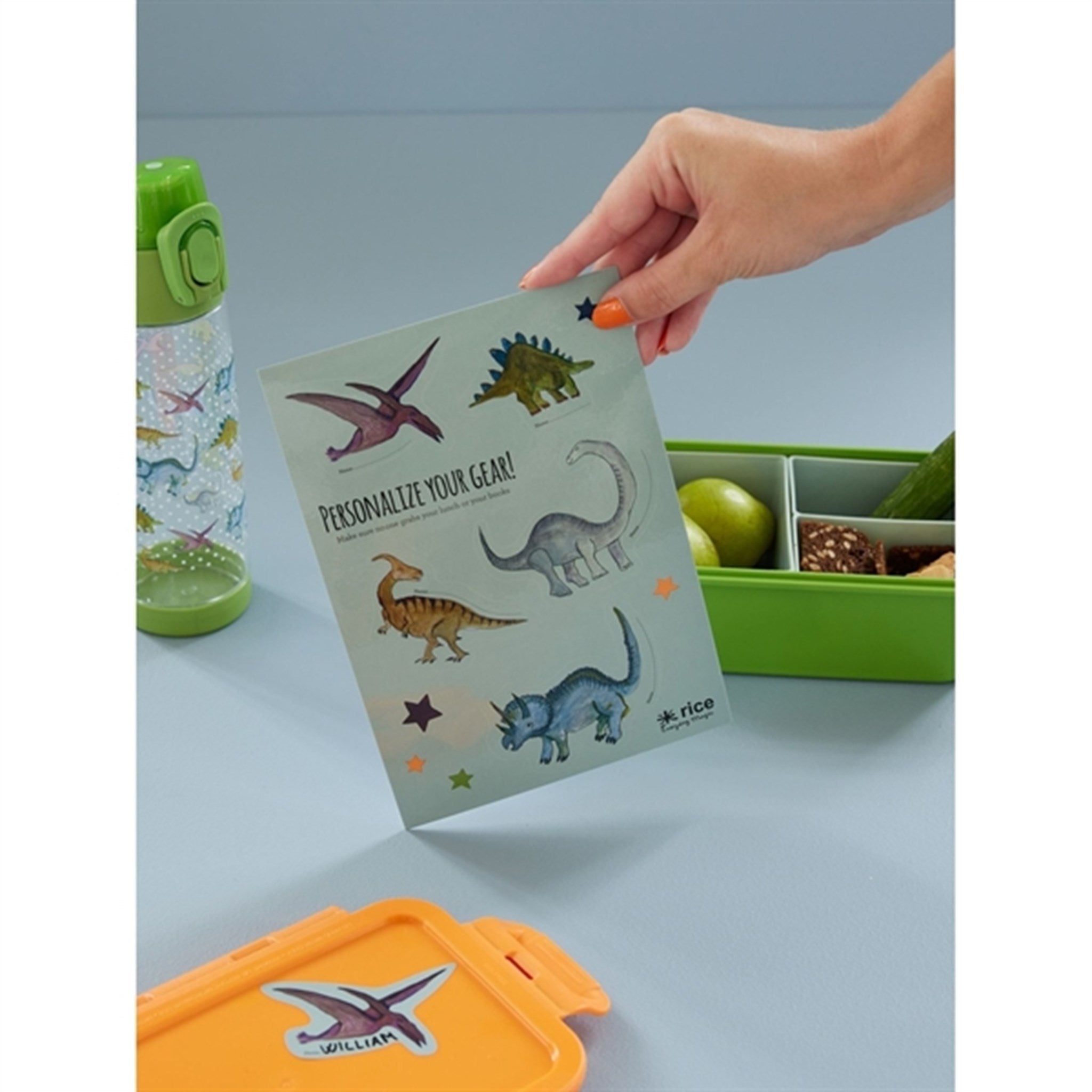 RICE Dinosaur Theme Klistermærker til Matlåda 3