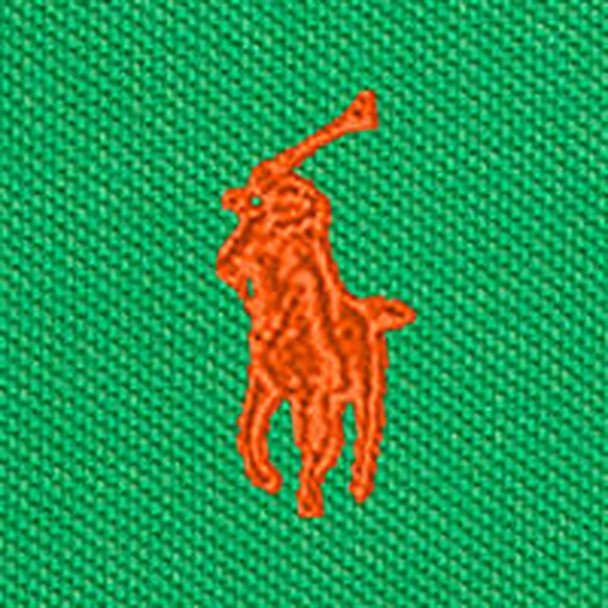 Polo Ralph Lauren Boys Polo Preppy Green 3