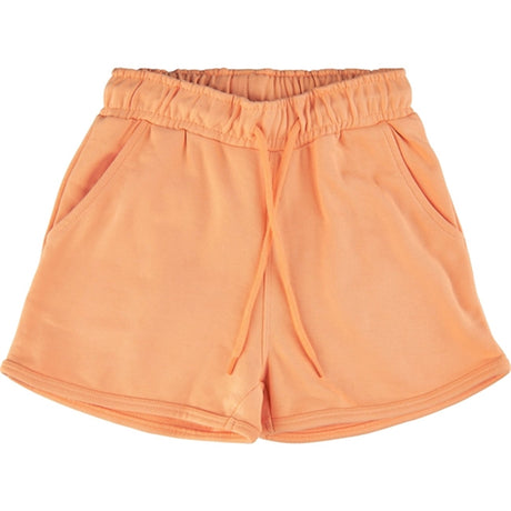 THE NEW Apricot Nectar Gia Sweatshorts