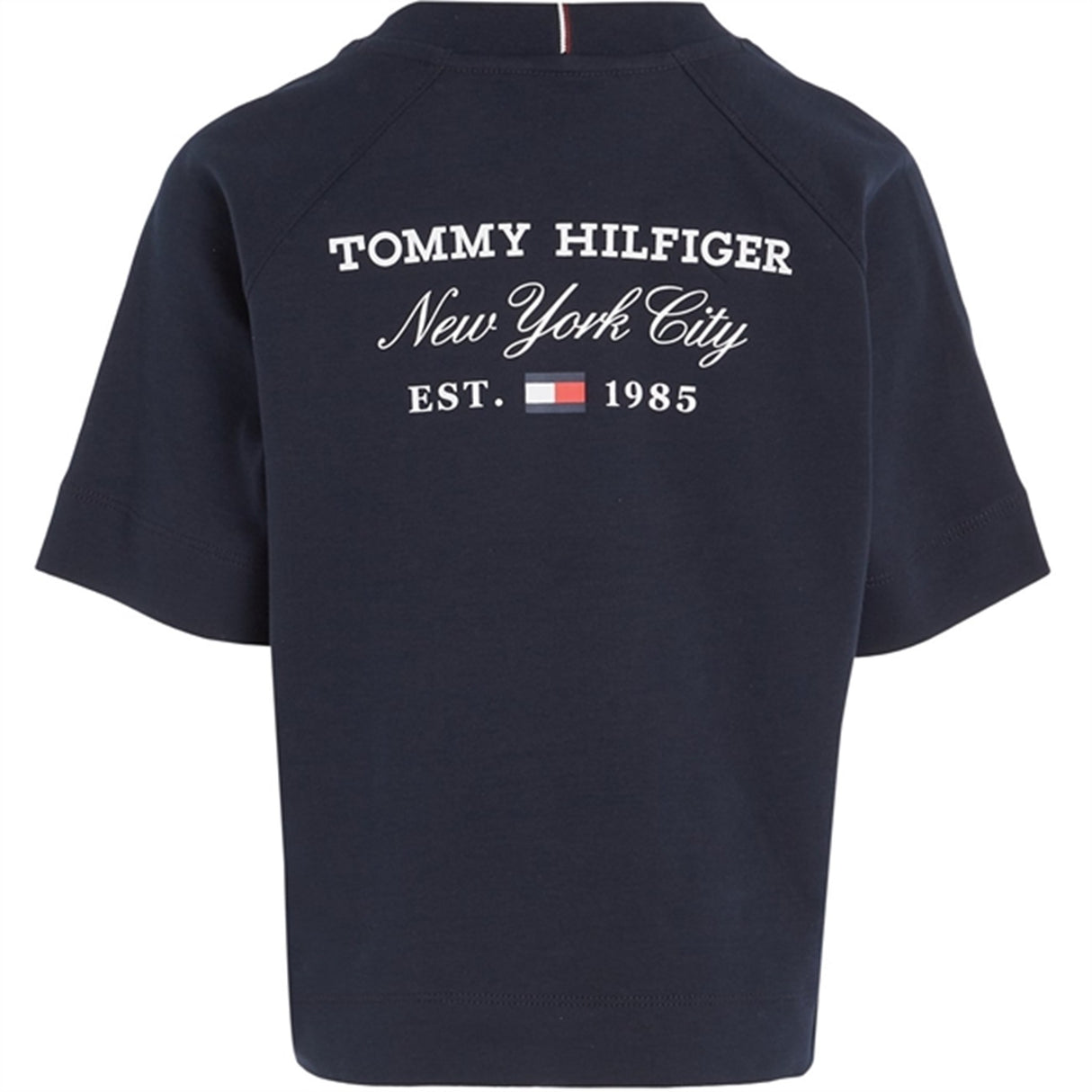Tommy Hilfiger Script T-Shirt Desert Sky 5
