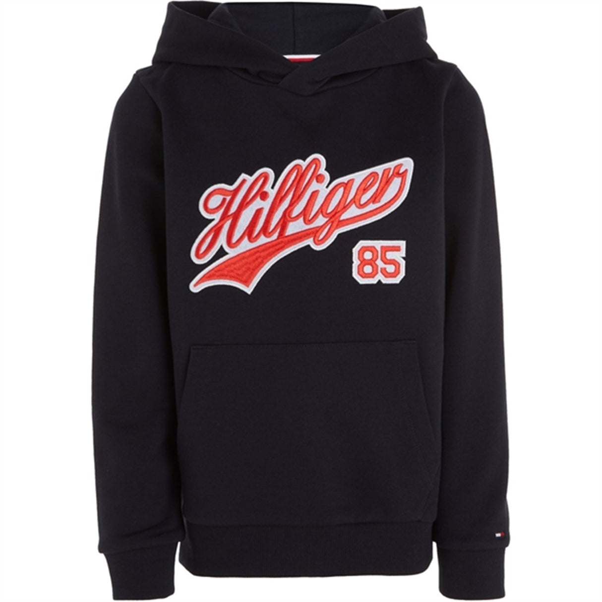 Tommy Hilfiger Hilfiger Script Hoodie Desert Sky