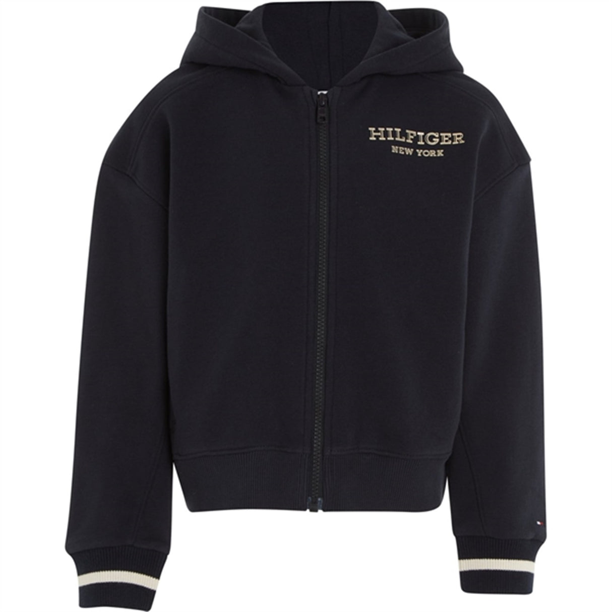 Tommy Hilfiger Monotype Foil Zip Thru Hoodie Desert Sky