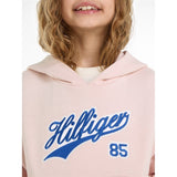 Tommy Hilfiger Hilfiger Script Hoodie Whimsy Pink 6