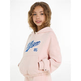 Tommy Hilfiger Hilfiger Script Hoodie Whimsy Pink 4